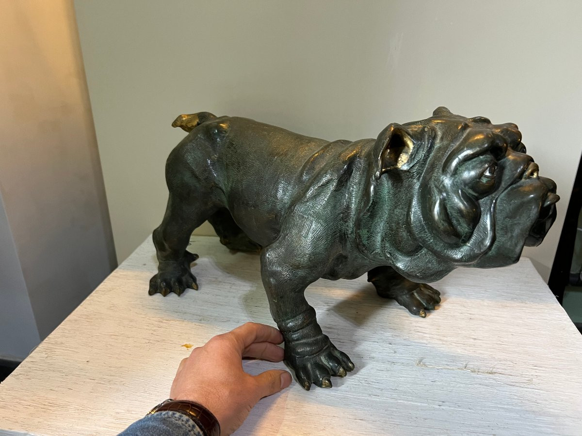 Bulldog Bronzo XX sec.-photo-4