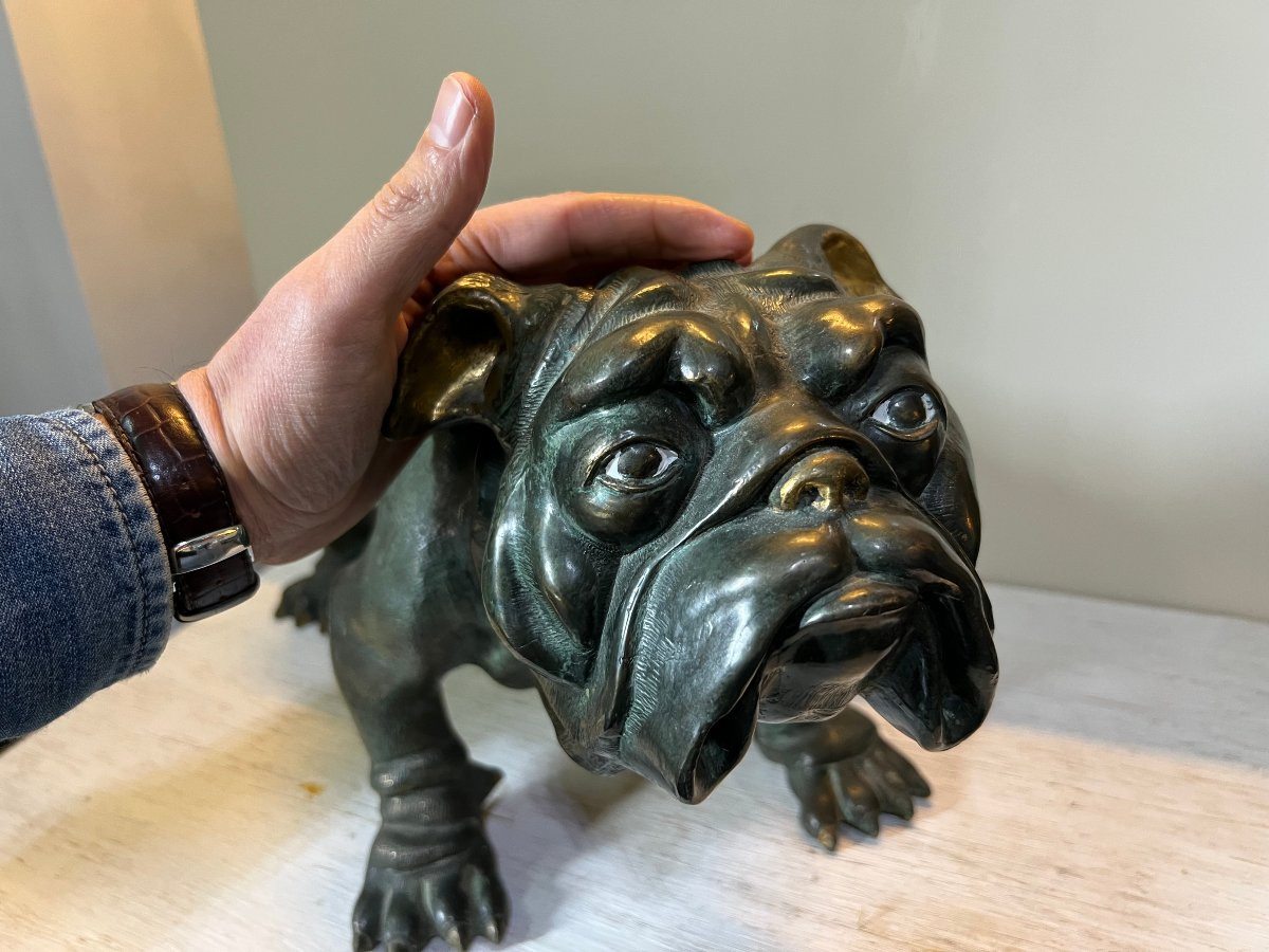 Bulldog Bronzo XX sec.-photo-5