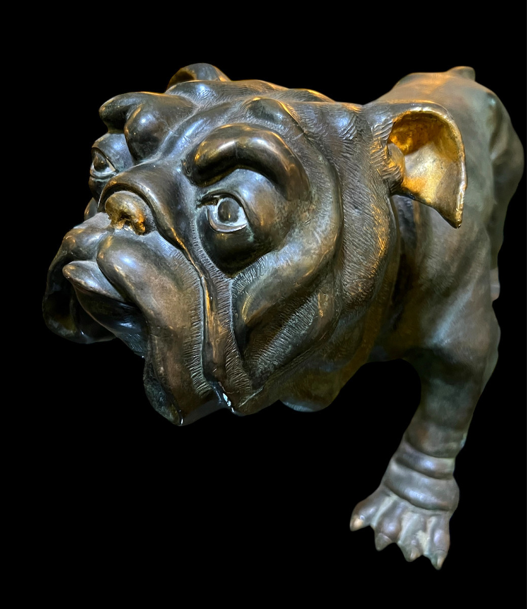 Bulldog Bronzo XX sec.