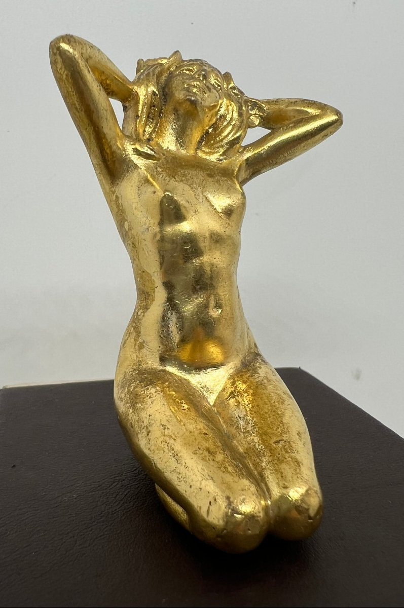 Geschutzt Austria 1930-photo-2