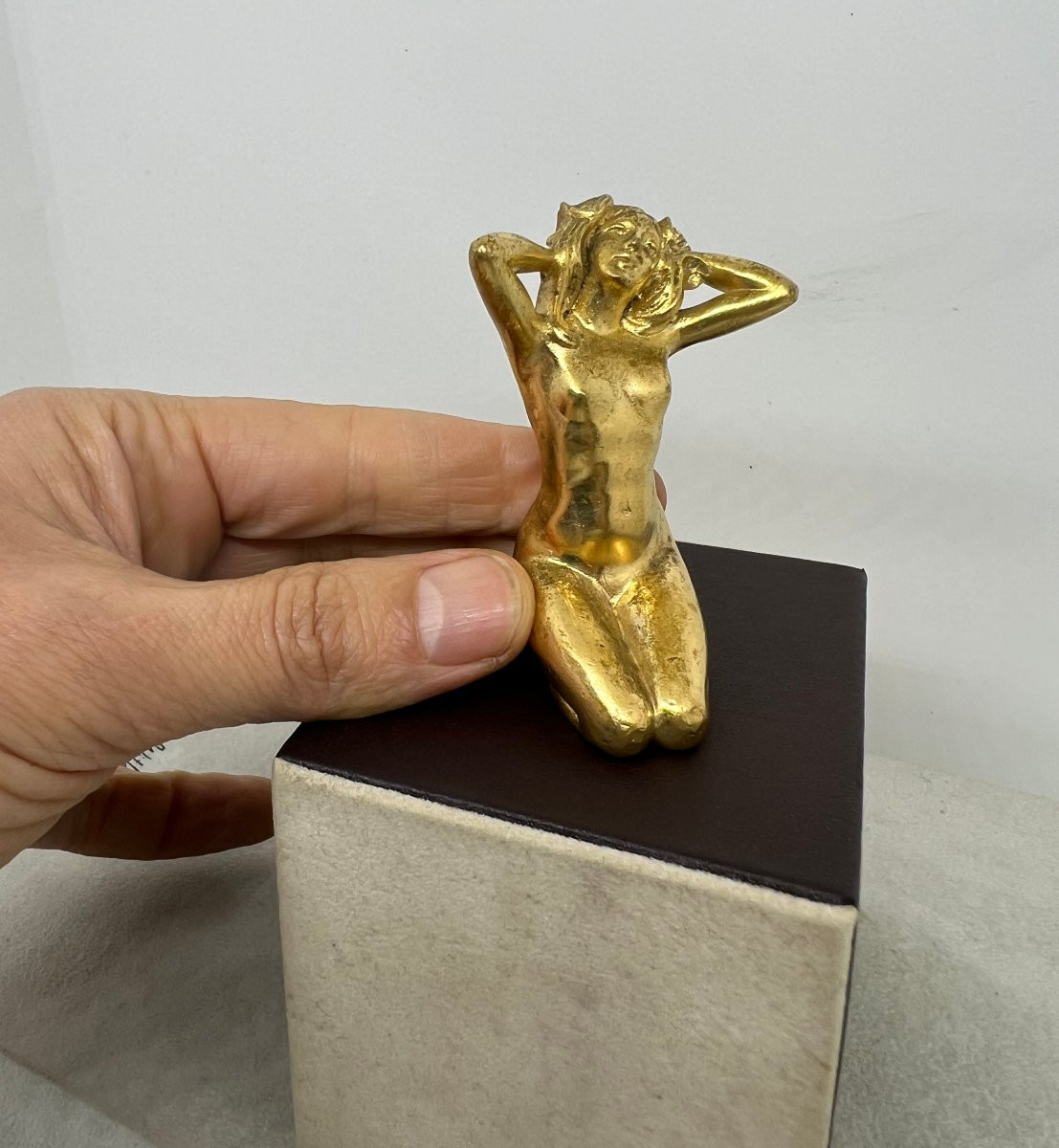 Geschutzt Austria 1930-photo-1