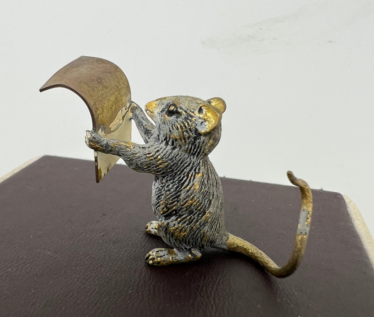 Franz Xaver Bergman  (1861-1936)-photo-4