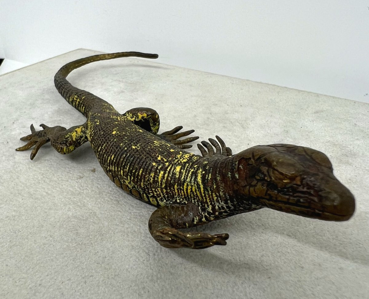 Franz Xaver Bergman  (1861-1936)-photo-2