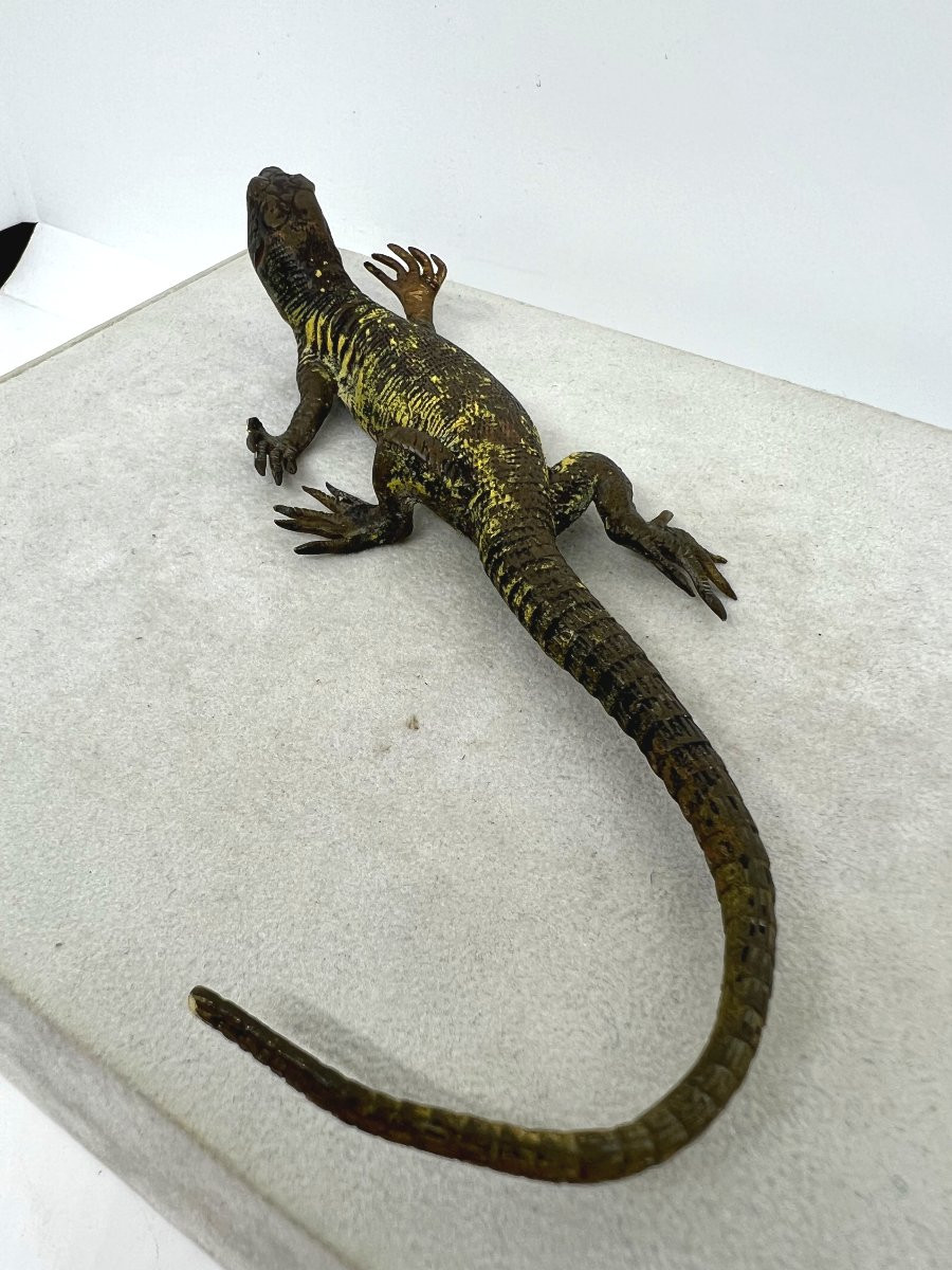 Franz Xaver Bergman  (1861-1936)-photo-4