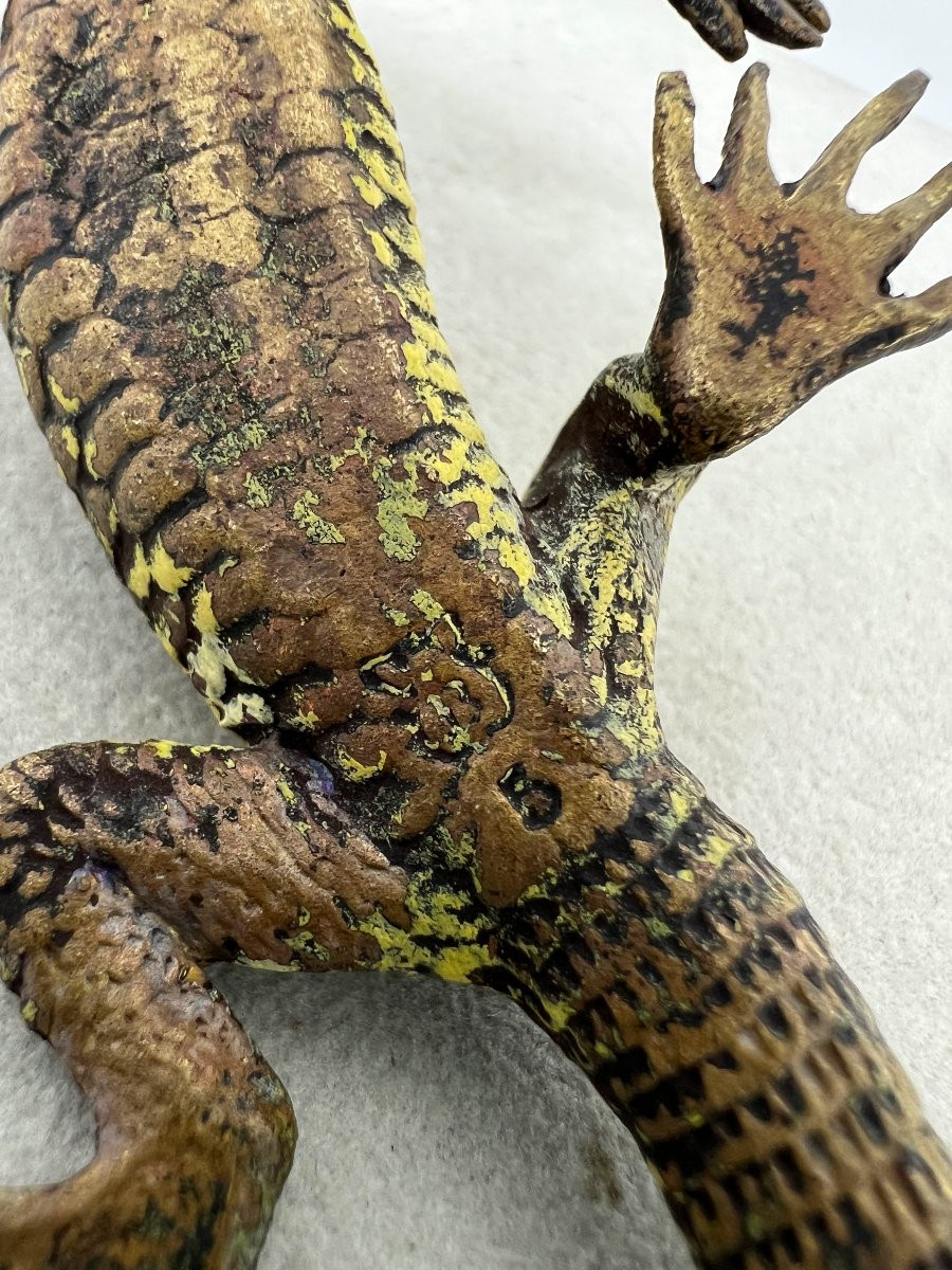 Franz Xaver Bergman  (1861-1936)-photo-5