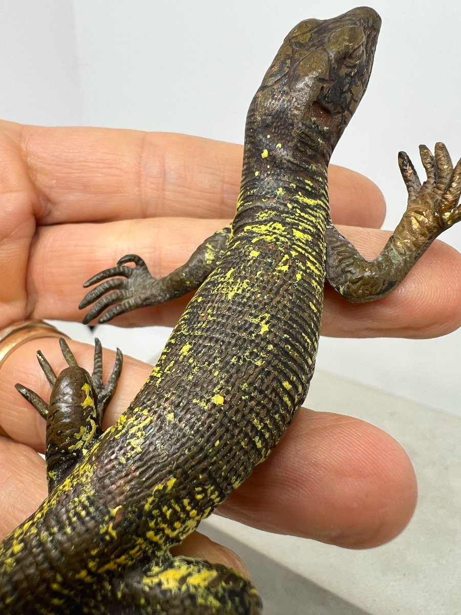 Franz Xaver Bergman  (1861-1936)-photo-7