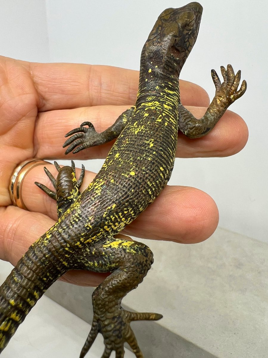 Franz Xaver Bergman  (1861-1936)-photo-8