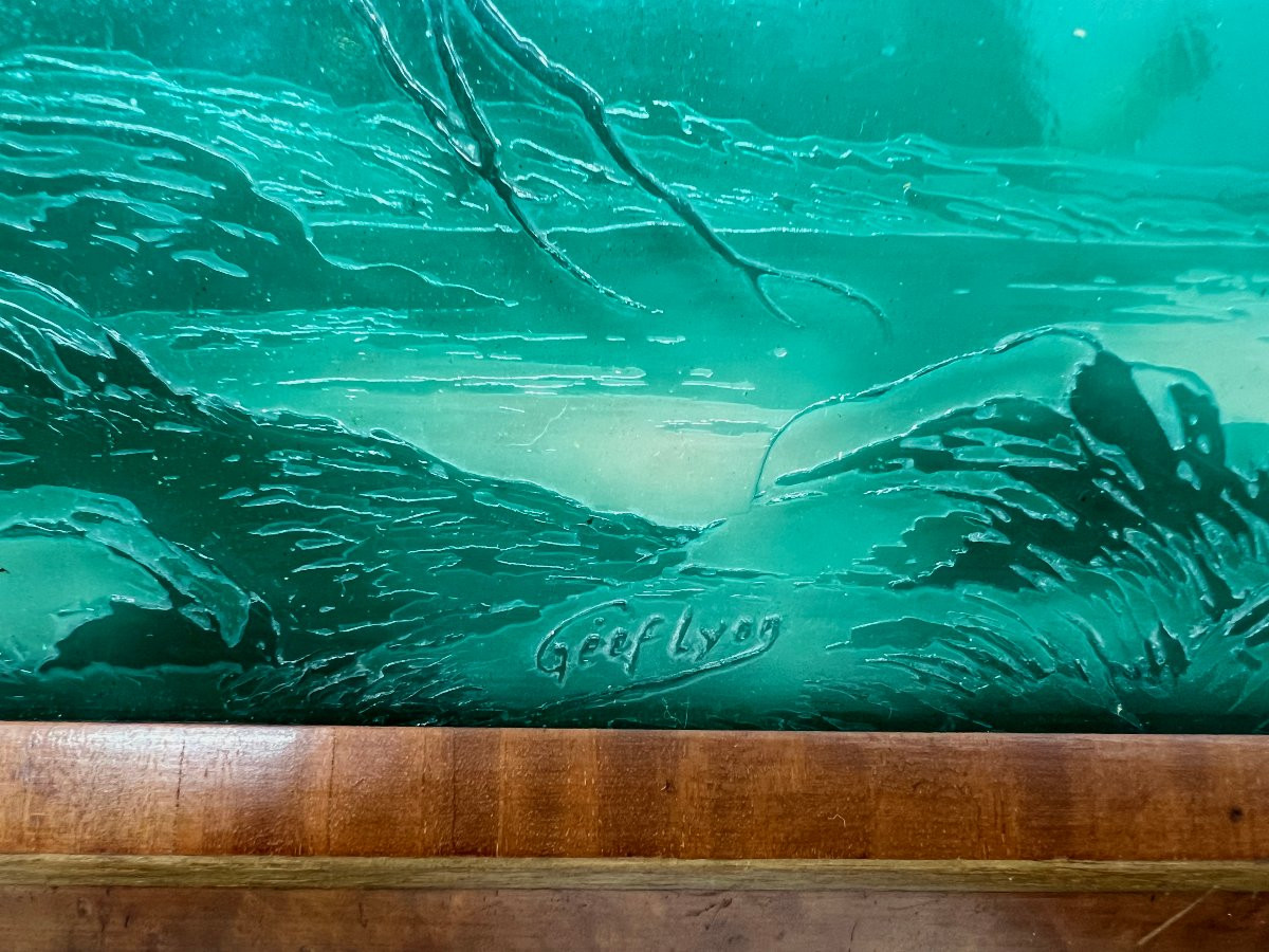 Geef Lyon debut du XX sec-photo-4