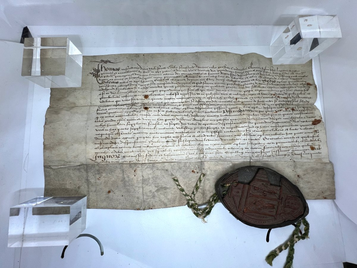 Thomas Wolsey 1525-photo-1