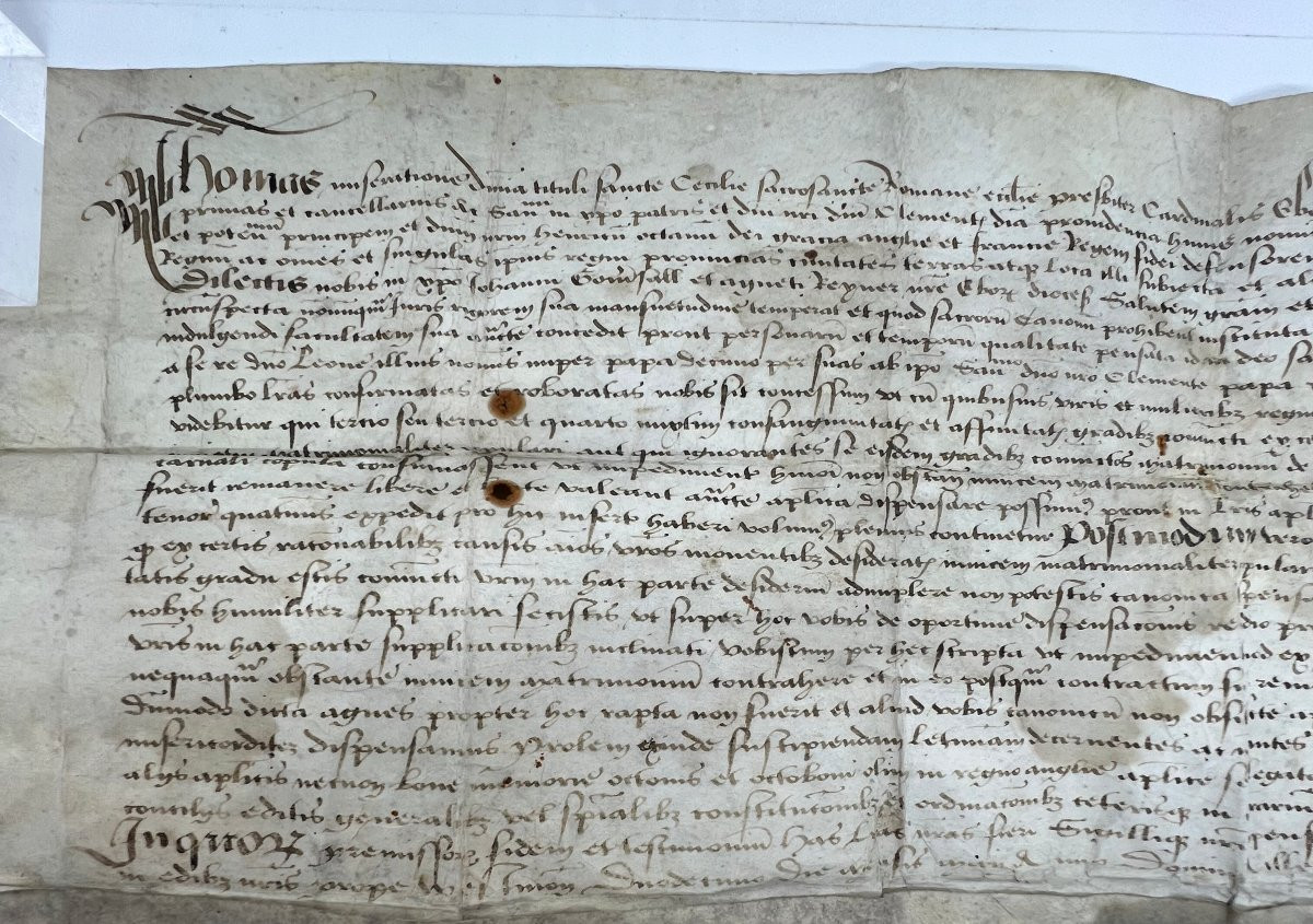 Thomas Wolsey 1525-photo-4