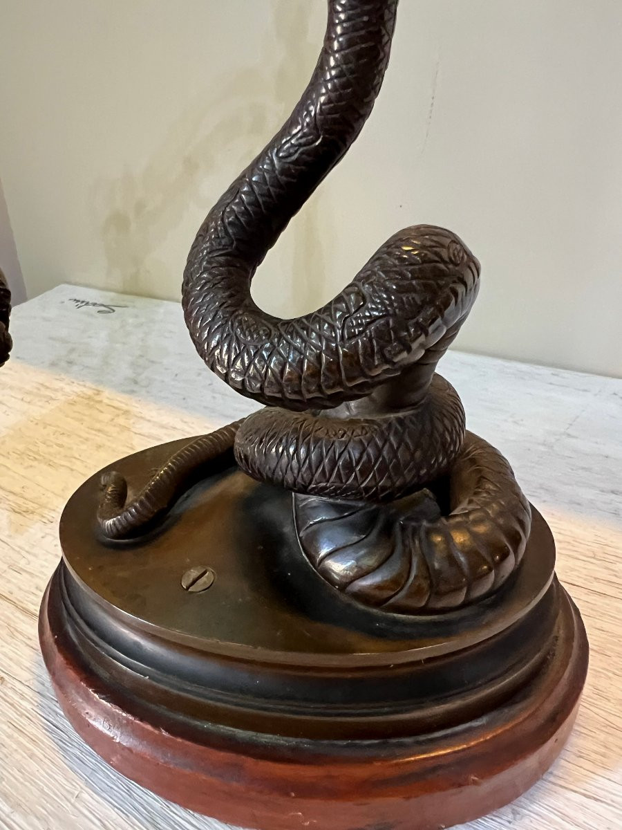 Italia fine del XIX sec.-photo-4