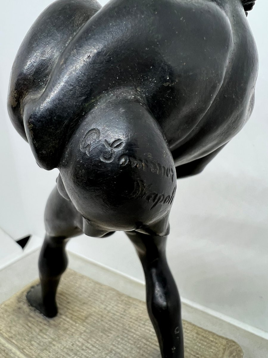 Napoli XIX sec G Sommer-photo-4