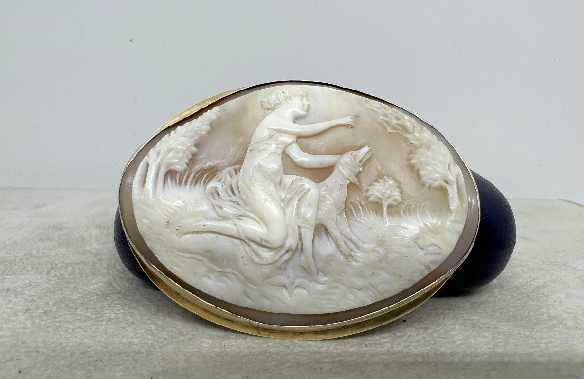 Italia Primo 900-photo-3