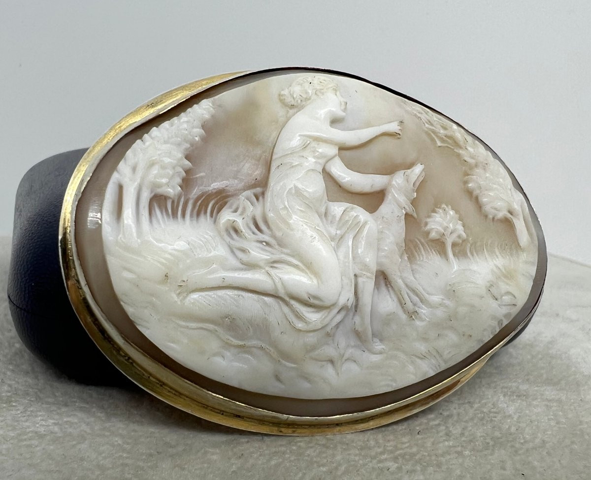 Italia Primo 900-photo-4