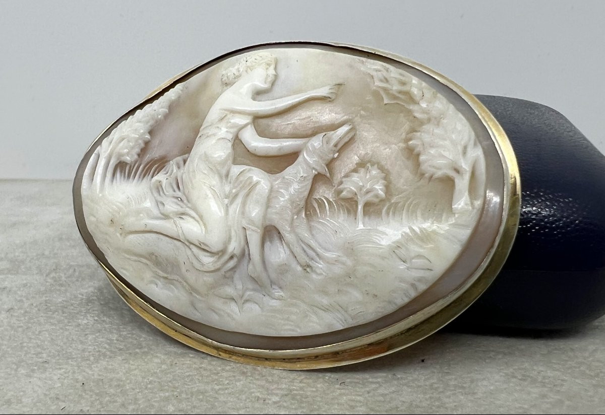 Italia Primo 900-photo-1