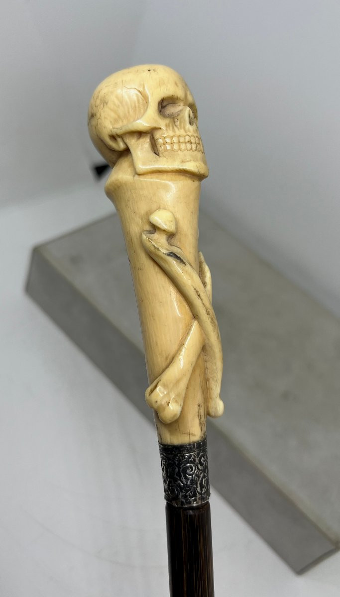 Bastone animato-photo-3