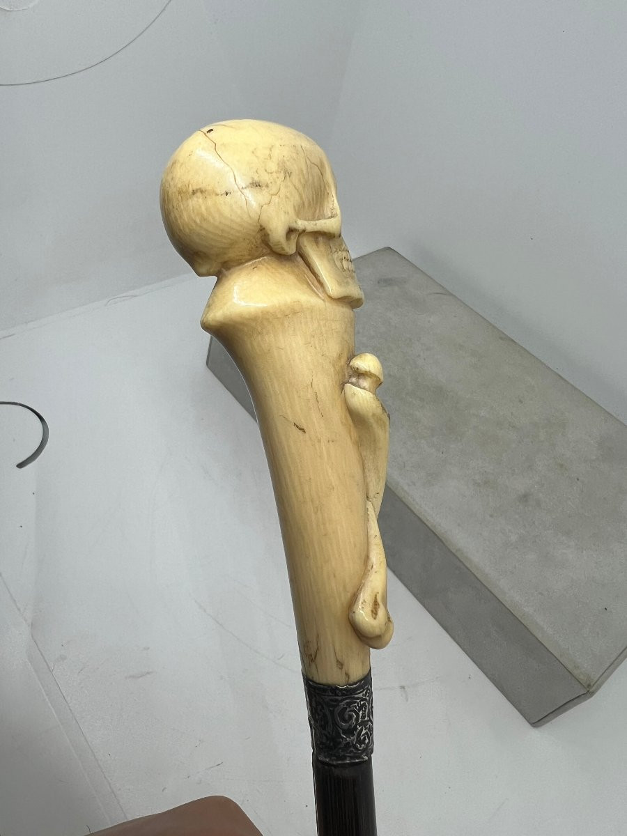 Bastone animato-photo-1