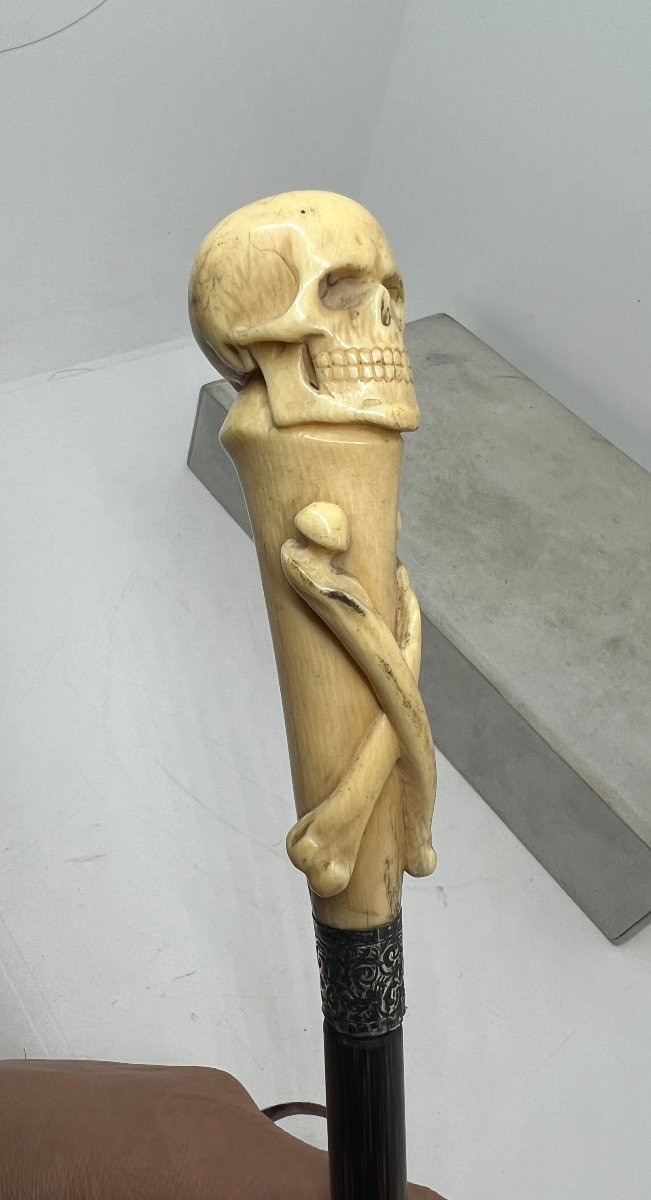 Bastone animato-photo-2