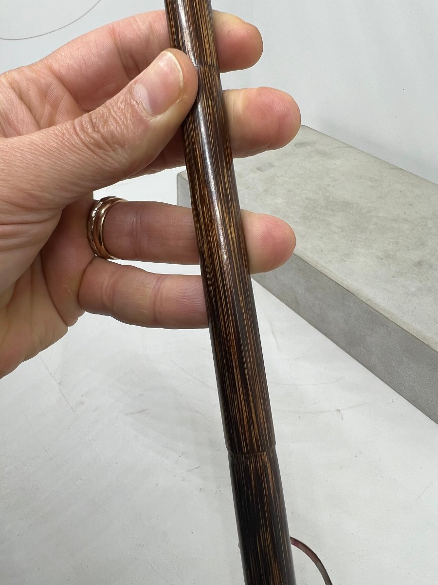 Bastone animato-photo-7