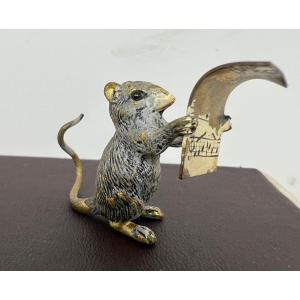 Franz Xaver Bergman  (1861-1936)