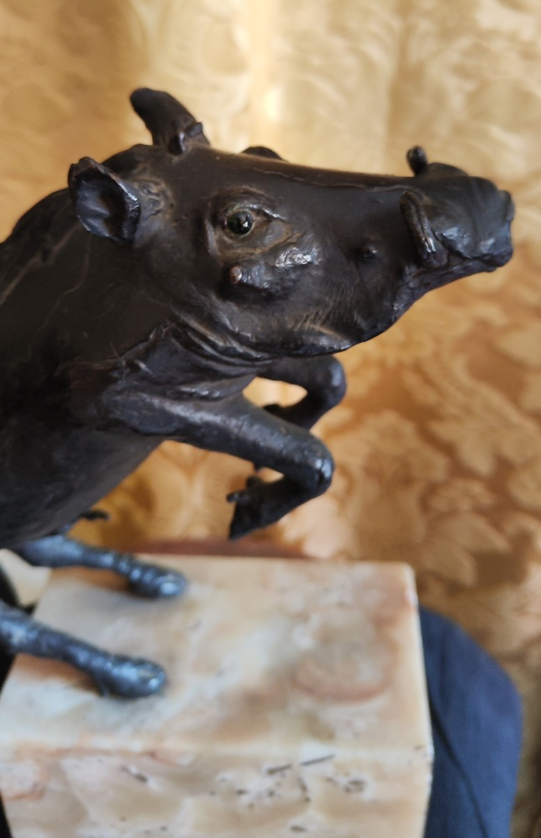 Cinghiale in bronzo -photo-2