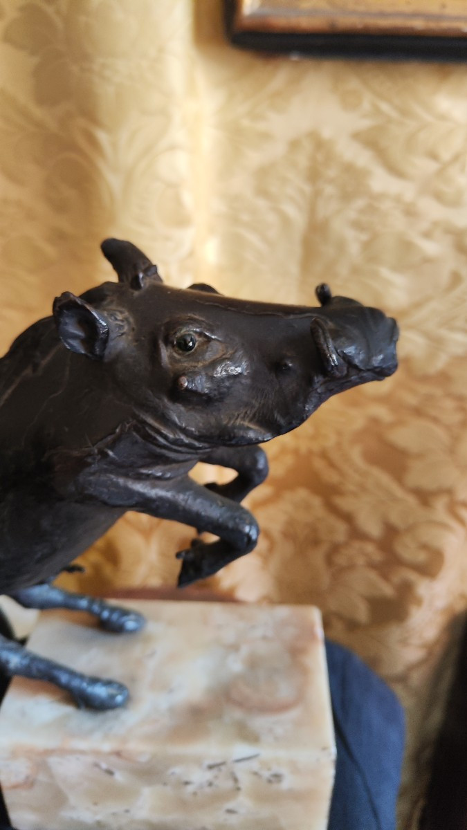 Cinghiale in bronzo -photo-2
