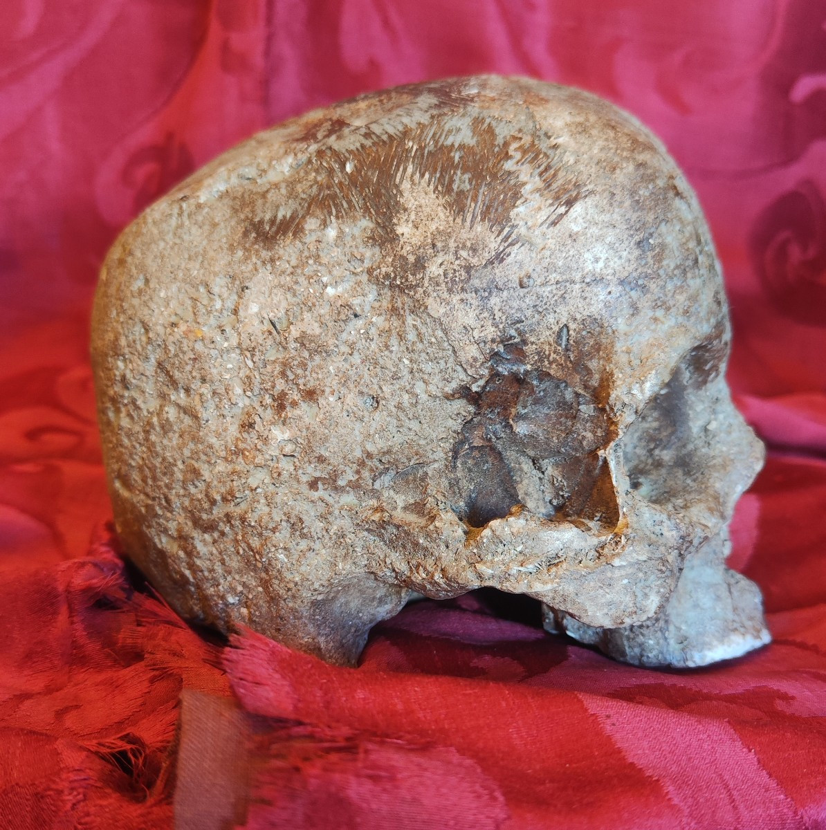 Vanitas -photo-1
