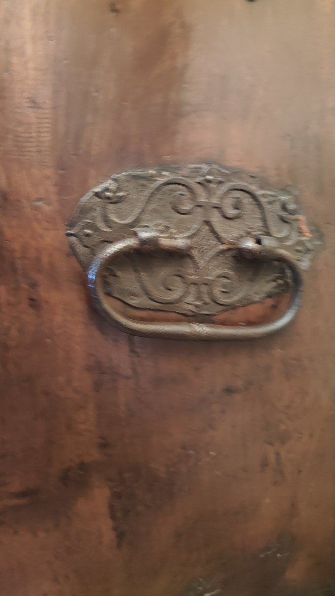 Monetiere spagnolo-photo-3