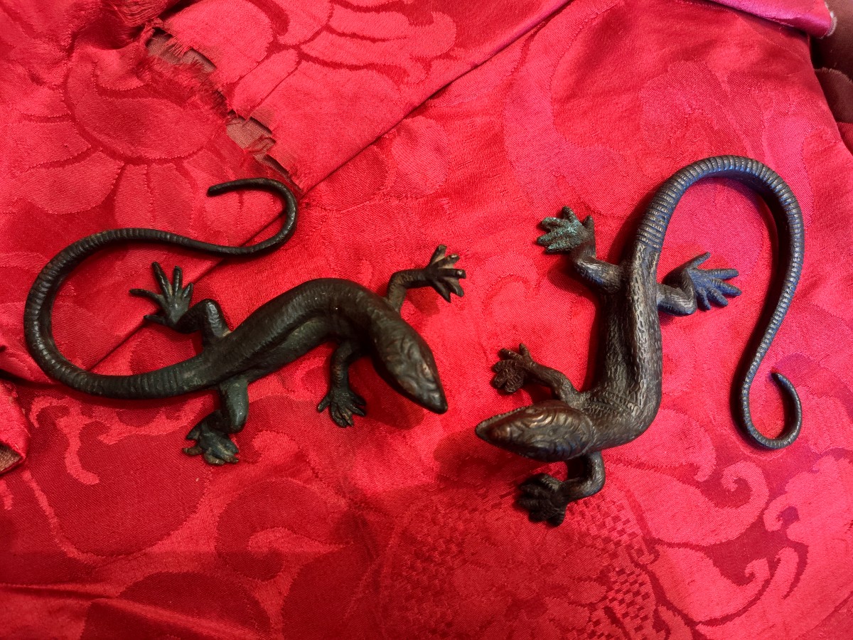 Coppia lucertole -photo-1