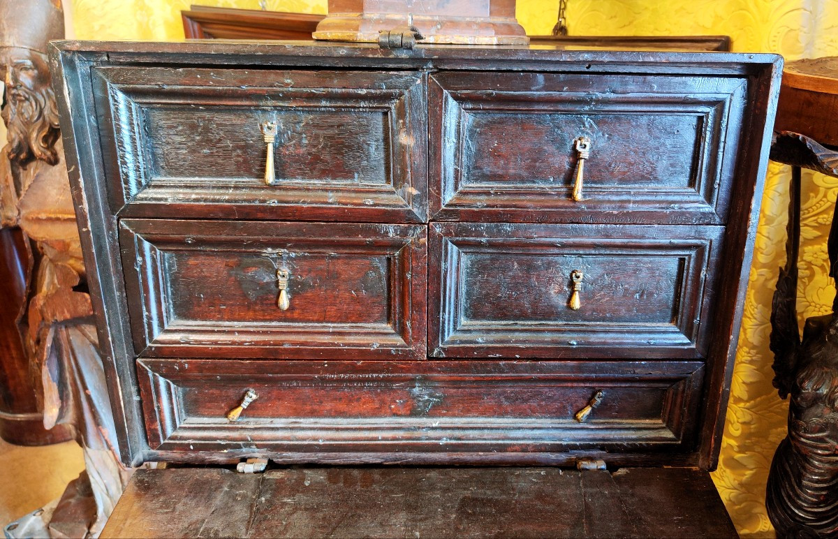 Monetiere spagnolo-photo-2