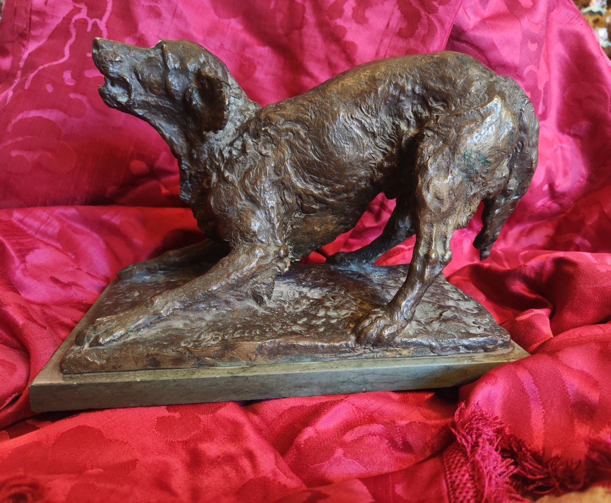 Bronzo cane setter-photo-2