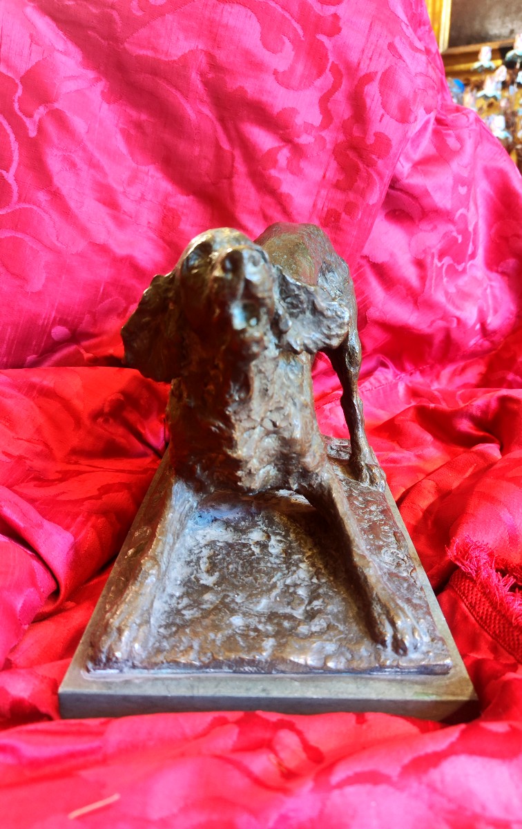 Bronzo cane setter-photo-3