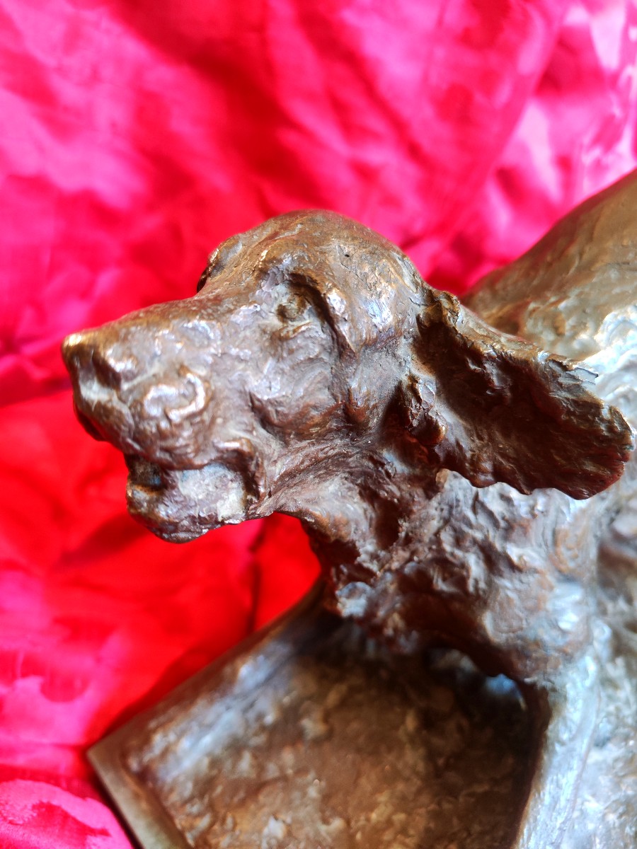 Bronzo cane setter-photo-4