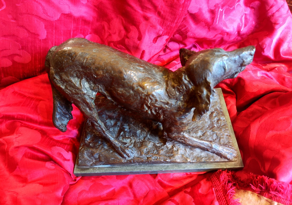 Bronzo cane setter
