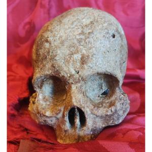 Vanitas 
