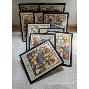 10 Engravings 12 Months Of Fruit. Pieter Casteels 1732