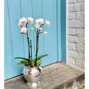 Cachepot Or Ice Bucket In Sterling Silver, Italian, 1950s-, 1960s