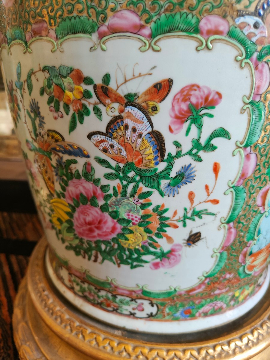 Grande coppia di vasi canton, epoca: XIX secolo-photo-3