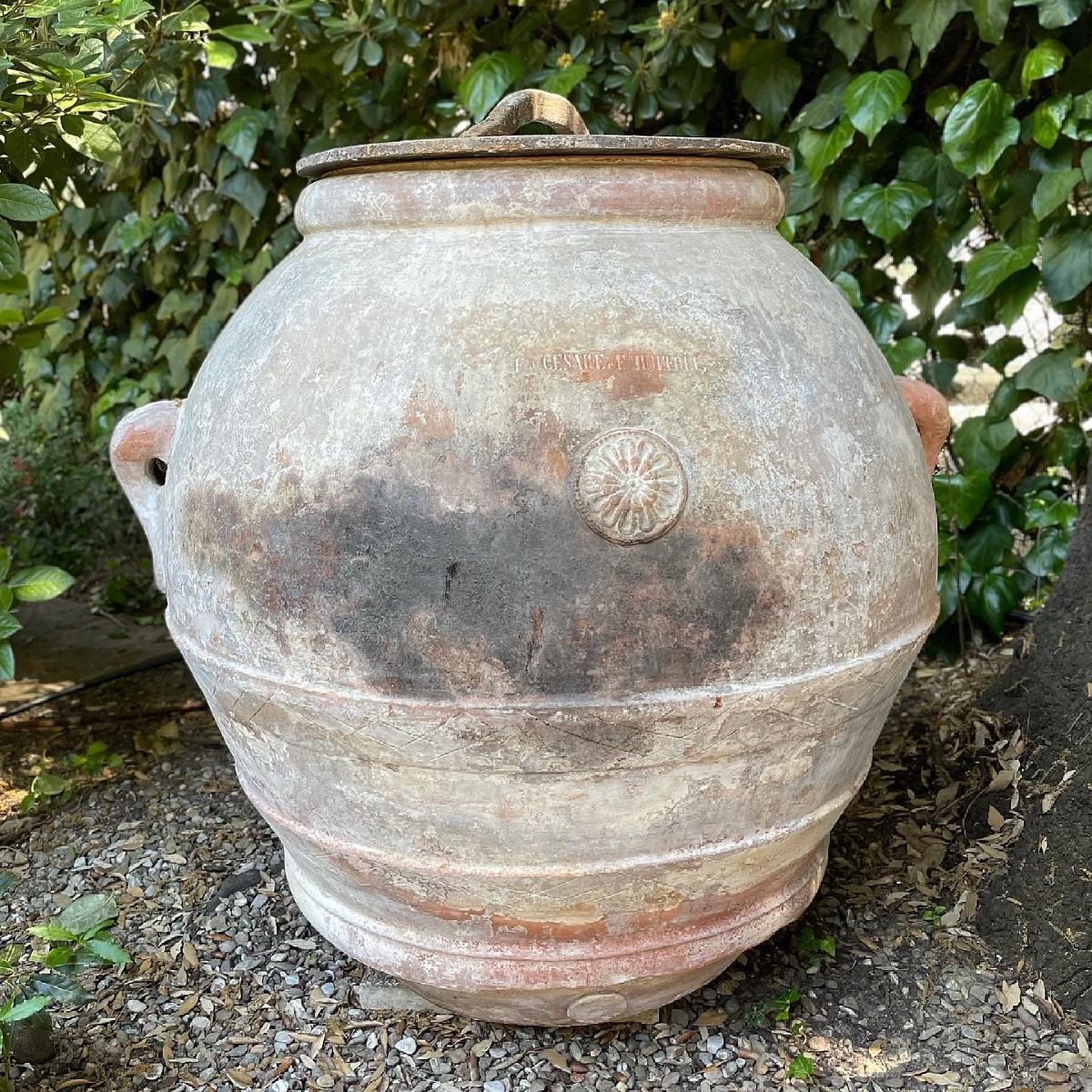 Orcio toscano di grandi dimensioni del ‘800-photo-2