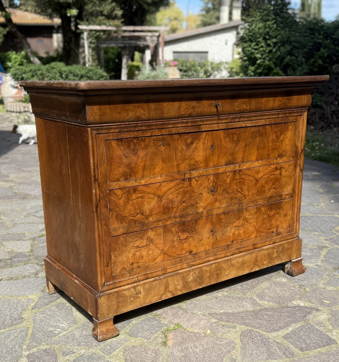 Antico comò in stile Louis Philippe, lastronato in radica di noce.
