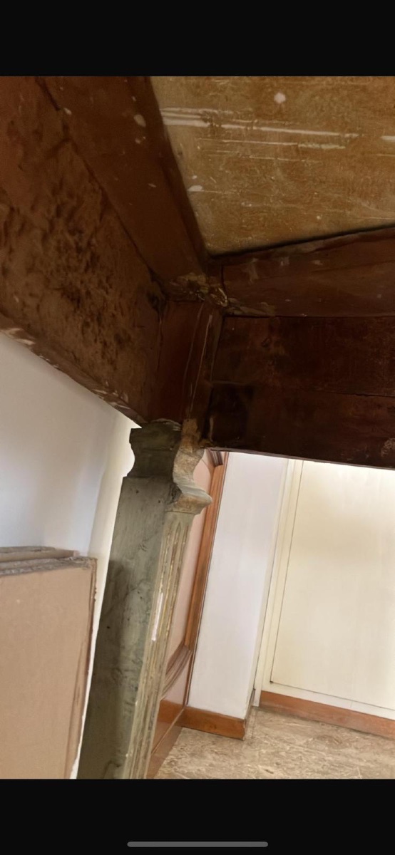 Consolle demi-lune di manifattura italiana della fine del XVIII secolo-photo-3