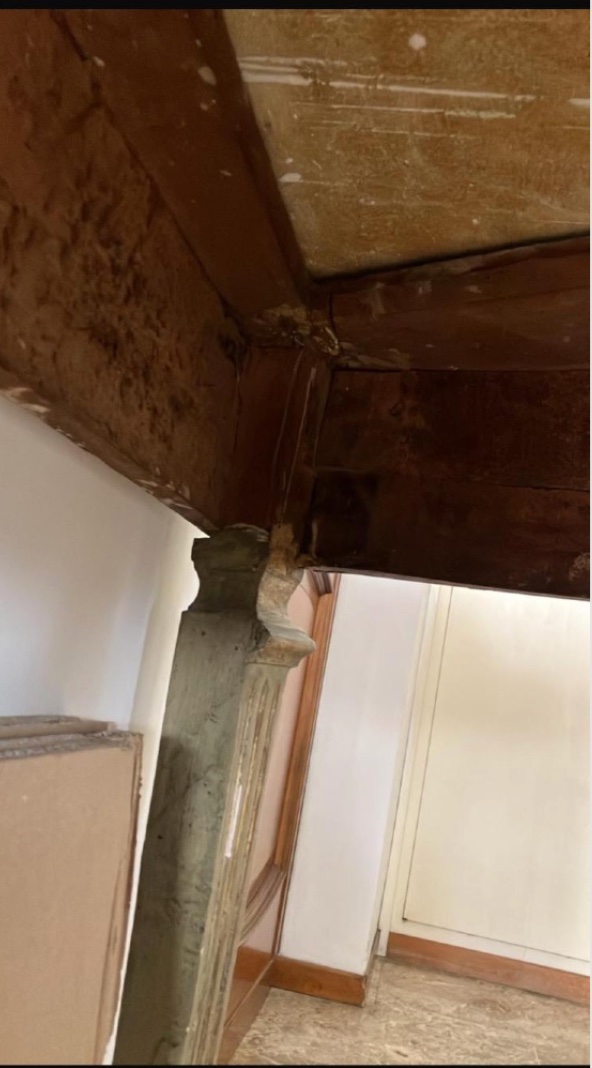 Consolle demi-lune di manifattura italiana della fine del XVIII secolo-photo-3