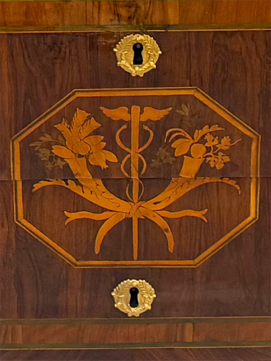 Cassettone Luigi XVI intarsiato – Fine XVIII secolo-photo-4