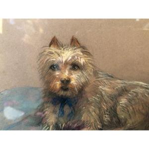 Painting, Pastel, Portrait Of Dog, Late 19th, Early 20th Century.