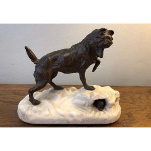 Animal Bronze, Dog, Arson, XIXth Century
