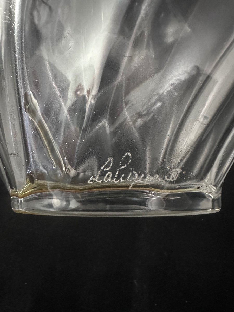Vaso Lalique -photo-3