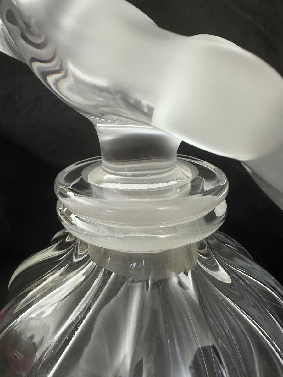 Vaso Lalique -photo-2