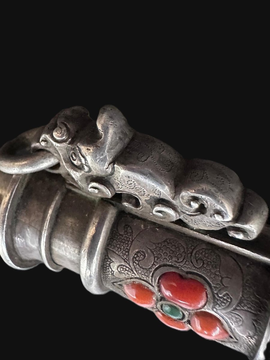 cotello cinese-photo-4