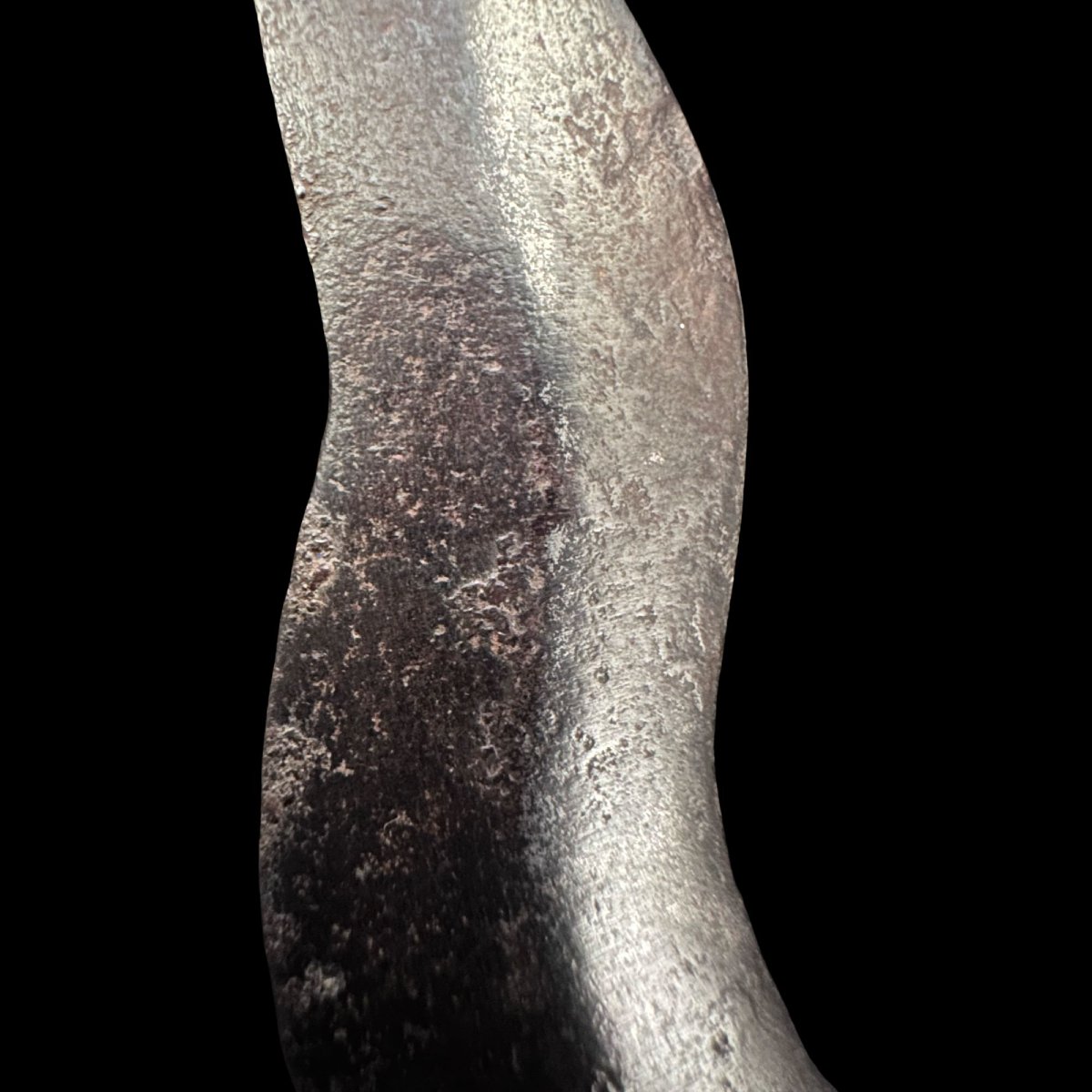 Tridente indiano-photo-3