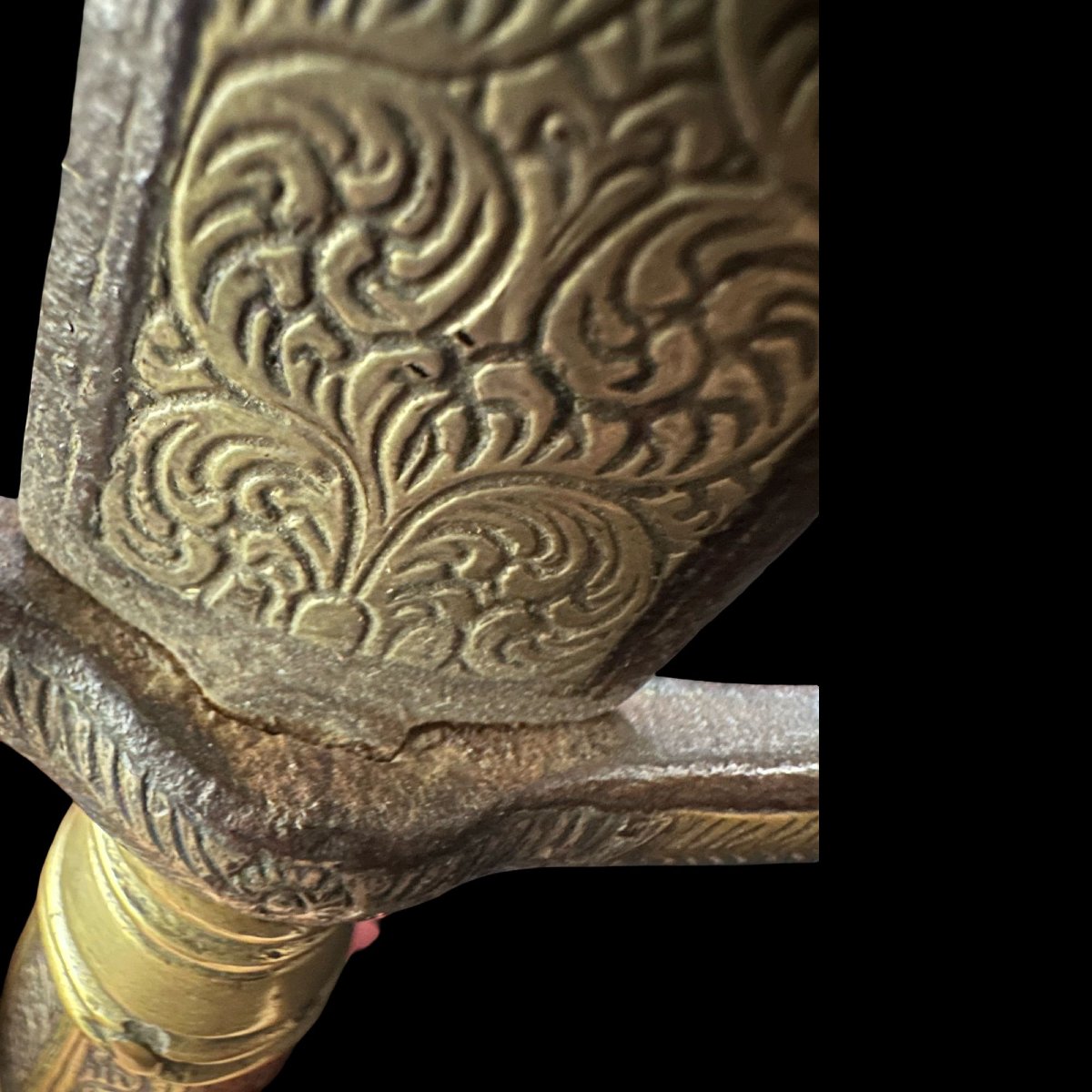 Tridente indiano-photo-3